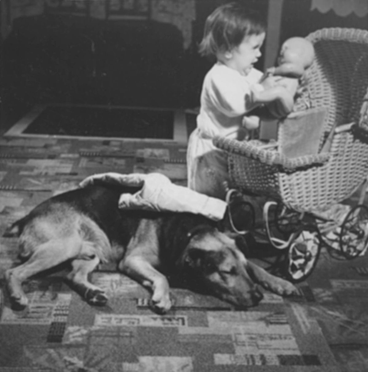 Carriage, Happy, Judy